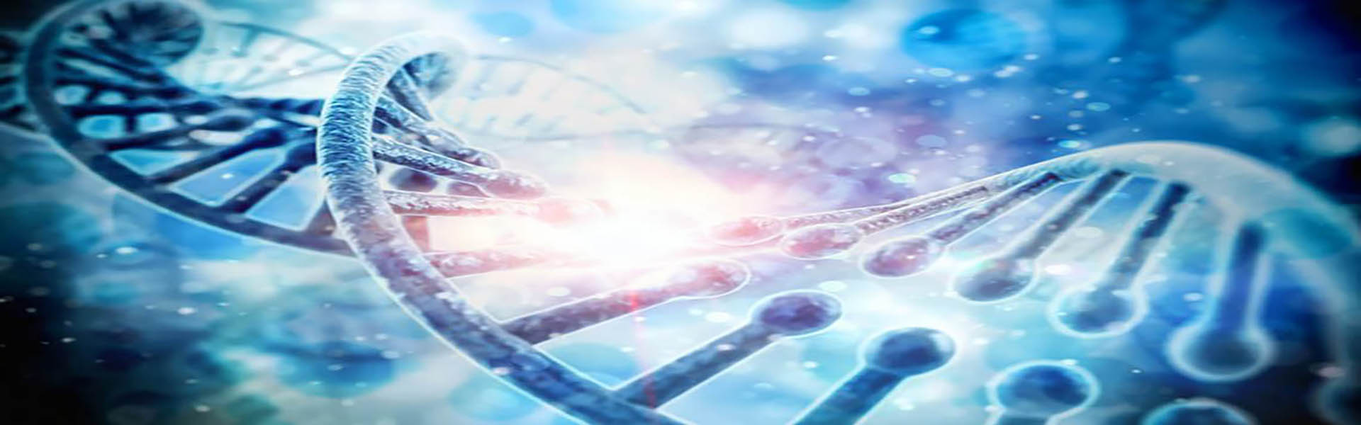 Epigenetik
