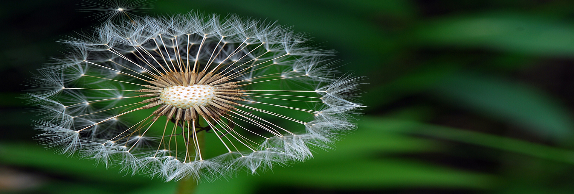 Coaching 1920 x 652