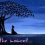 Hvad er hemmeligheden bag mindfulness?