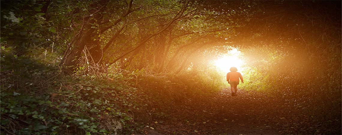 Little girl in magical forest